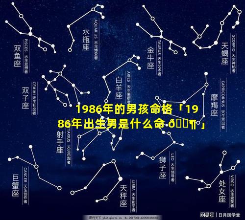 1986年的男孩命格「1986年出生男是什么命 🐶 」